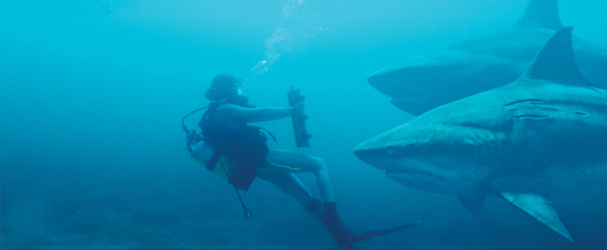 大人気サメ映画最新作！シリーズ最大の恐怖！!<br />『ディープ・ブルー3』<br />10.7デジタル配信開始、10.9ブルーレイ&DVDリリース決定！
